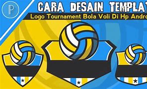 Logo Bola Voli 3D